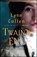 Twain's End, Lynn Cullen - Paperback - 9781476758978