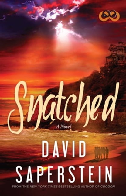 Snatched, David Saperstein - Ebook - 9781476793634