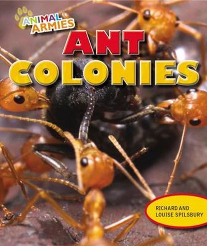 Ant Colonies, SPILSBURY,  Richard - Paperback - 9781477703267