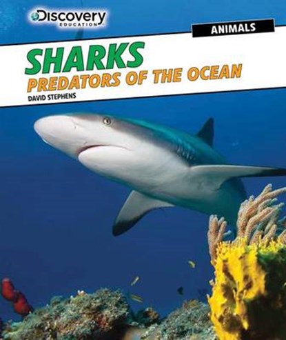 Sharks, STEPHENS,  David - Gebonden - 9781477769263