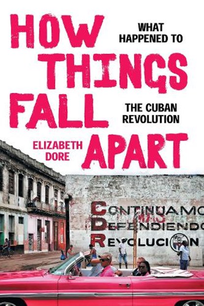 How Things Fall Apart, Elizabeth Dore - Gebonden - 9781478020332
