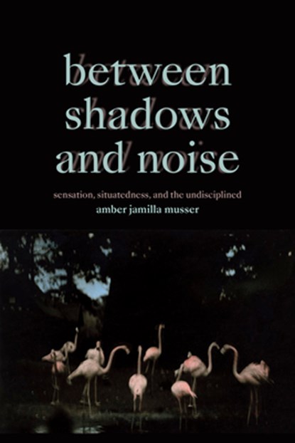 Between Shadows and Noise, Amber Jamilla Musser - Paperback - 9781478030096