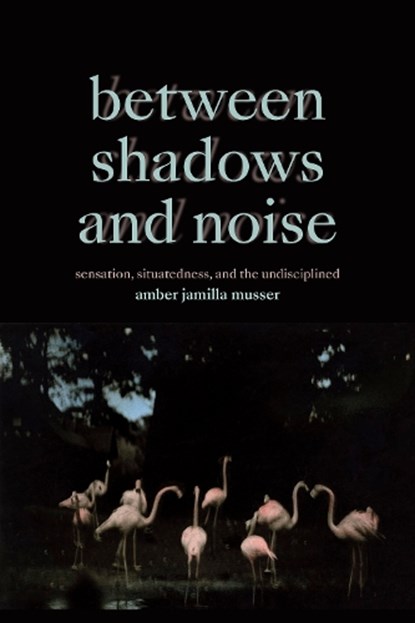 Between Shadows and Noise, Amber Jamilla Musser - Paperback - 9781478030096