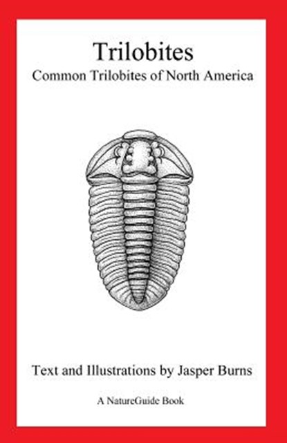 Trilobites: Common Trilobites of North America (a Natureguide Book), Jasper Burns - Paperback - 9781478357940