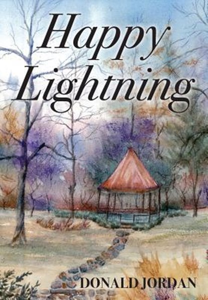 Happy Lightning, Donald Jordan - Gebonden - 9781478700180