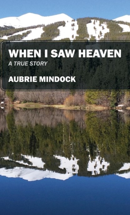 When I Saw Heaven, Aubrie Mindock - Gebonden - 9781478753025
