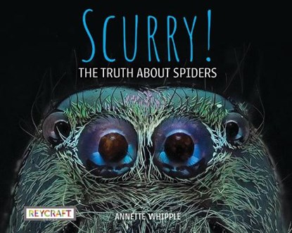 Scurry! the Truth about Spiders, Annette Whipple - Gebonden - 9781478870234