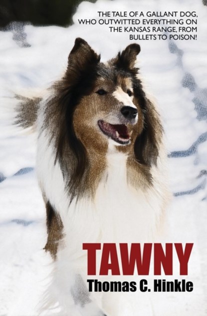 Tawny, Thomas C Hinkle - Paperback - 9781479440085