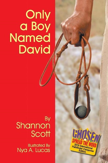 Only a Boy Named David, Shannon Scott - Paperback - 9781479611157