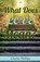 What Does Love Mean?, PHILLIPS,  Charles - Paperback - 9781479614608