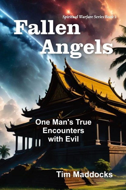 Fallen Angels, Tim Maddocks - Paperback - 9781479619320