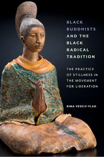 Black Buddhists and the Black Radical Tradition, Rima Vesely-Flad - Paperback - 9781479810499