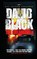 The Great Satan, BLACK,  David - Paperback - 9781480216532