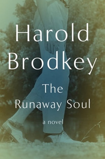 The Runaway Soul, Harold Brodkey - Ebook - 9781480427990
