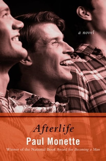 Afterlife, Paul Monette - Ebook - 9781480473836