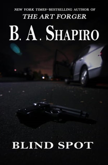 Blind Spot, B. A. Shapiro - Ebook - 9781480481664