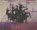 The Palace Job, WEEKES,  Patrick - Overig - 9781480566606