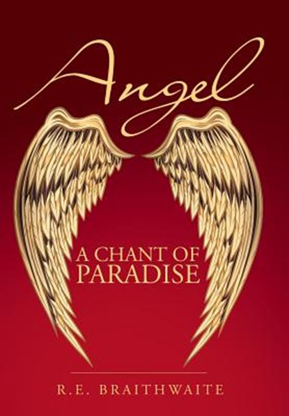 Angel, R E Braithwaite - Gebonden - 9781480848498