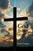 God Is Not Stupid, VAUGHAN,  David B. - Paperback - 9781480943599