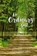 An Ordinary Girl, ROBINSON,  Faye - Paperback - 9781480956025