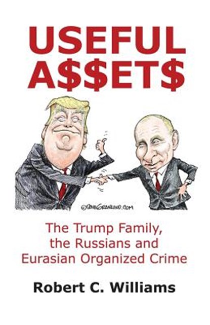 Useful Assets, Robert C. Williams - Paperback - 9781480987739