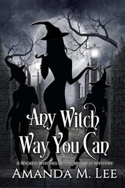 Any Witch Way You Can, Amanda M. Lee - Paperback - 9781481274708