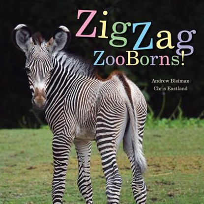 Zigzag Zooborns!: Zoo Baby Colors and Patterns, Andrew Bleiman - Gebonden - 9781481431057