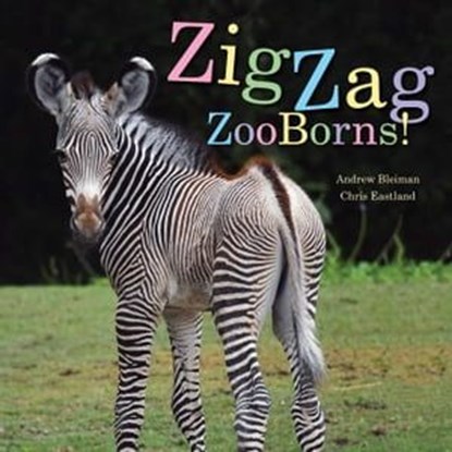 ZigZag ZooBorns!, Andrew Bleiman ; Chris Eastland - Ebook - 9781481431064