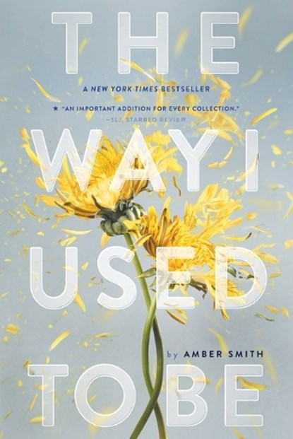The Way I Used to Be, Amber Smith - Paperback - 9781481449366