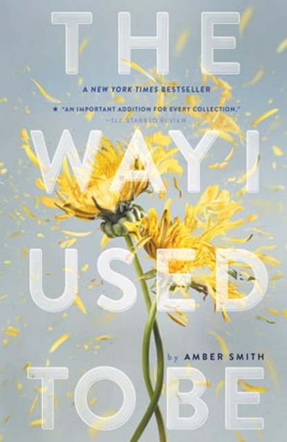 The Way I Used to Be, Amber Smith - Ebook - 9781481449373