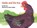 Fox, M: Hattie and the Fox, Mem Fox - Gebonden - 9781481479295