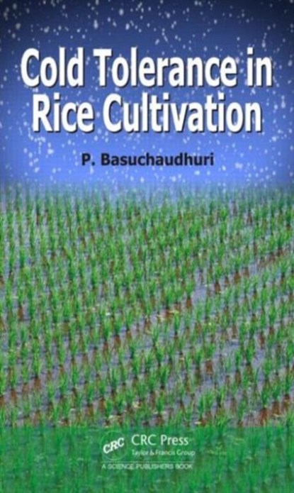 Cold Tolerance in Rice Cultivation, PRANAB (INDIAN COUNCIL OF AGRICULTURAL RESEARCH (RETIRED),  Kolkata, India) Basuchaudhuri - Gebonden - 9781482245172