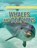 Whales and Dolphins, PARKER,  Steve - Paperback - 9781482432114