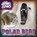 Polar Bear, Eliza Nodes - Paperback - 9781482475968