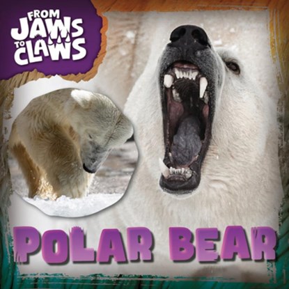 Polar Bear, Eliza Nodes - Paperback - 9781482475968