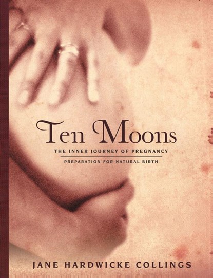 Ten Moons, Jane Hardwicke Collings - Paperback - 9781483437057