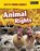 Animal Rights, Vic Parker - Paperback - 9781484602966