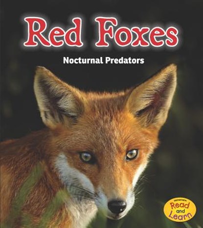 RED FOXES, Rebecca Rissman - Paperback - 9781484603185
