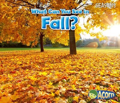 What Can You See in Fall?, Sian Smith - Paperback - 9781484603536