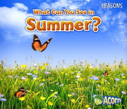 What Can You See in Summer?, Sian Smith - Paperback - 9781484603550