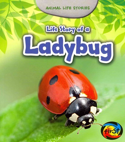 Life Story of a Ladybug, Charlotte Guillain - Paperback - 9781484604939
