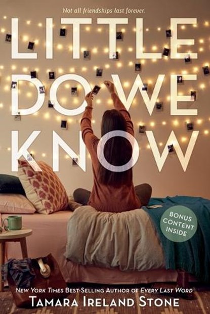 Little Do We Know, Tamara Ireland Stone - Paperback - 9781484774168