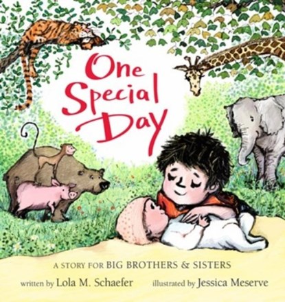 One Special Day, SCHAEFER,  Lola M. - Gebonden - 9781484788424