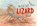 The Great Lizard Trek, Felicity Bradshaw - Gebonden - 9781486308828