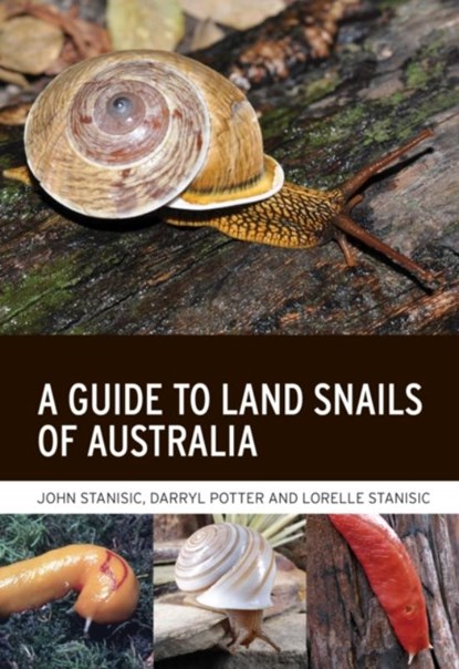A Guide to Land Snails of Australia, John Stanisic ; Darryl Potter ; Lorelle Stanisic - Paperback - 9781486313525