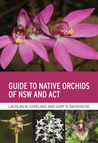 Guide to Native Orchids of NSW and ACT, Lachlan M. Copeland ; Gary N. Backhouse - Paperback - 9781486313686