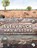 Every Rock Has a Story, Kitty Van Cuylenburg - Paperback - 9781486321650