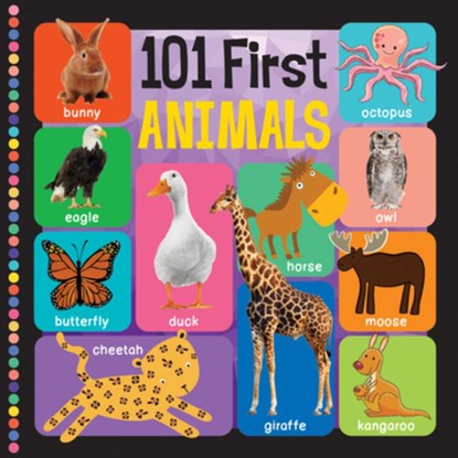 101 First Animals, Flowerpot Press - Gebonden - 9781486730131