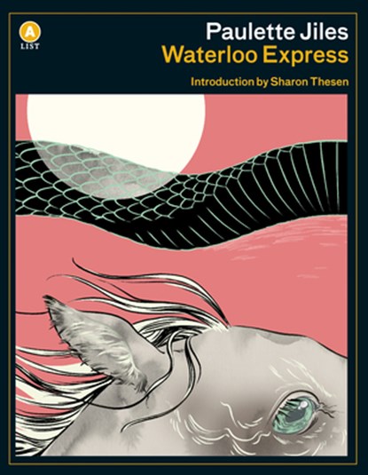 Waterloo Express, Paulette Jiles - Paperback - 9781487006655