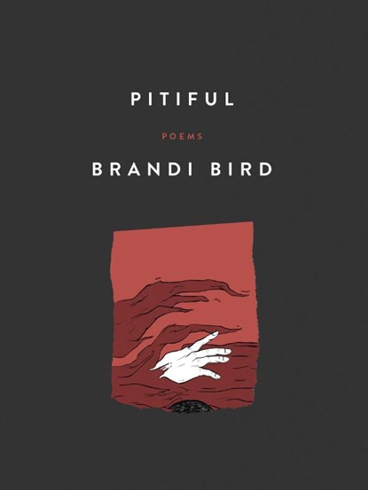 Pitiful, Brandi Bird - Paperback - 9781487014087